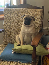 Load image into Gallery viewer, White T-Shirt - More Pugs that you can imagine!