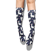 Load image into Gallery viewer, Long Socks - Collection
