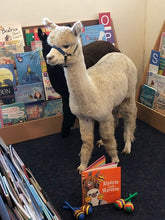 Load image into Gallery viewer, Book - Stack of Alpacas