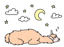 Load image into Gallery viewer, TOY  Sleeping Alpaca - White or Medium Fawn