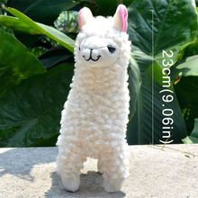 Load image into Gallery viewer, Toy  - Alpaca Plush - Sochi (White)