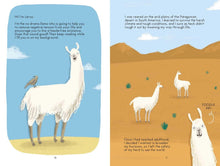 Load image into Gallery viewer, Book - No Drama Llama: Drop the Drama and Start Leading a No-Nonsense Lifestyle