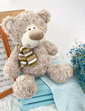 Load image into Gallery viewer, Teddy Bear with Stripey Scarf - Henry
