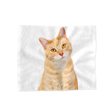 Load image into Gallery viewer, Ginger Cat Lens Cloth  - Diver Dan
