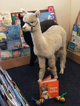 Load image into Gallery viewer, Book - Macca the Alpaca
