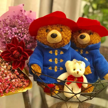 Load image into Gallery viewer, Paddington Bear Plush
